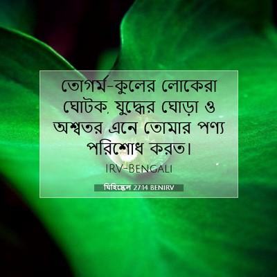 Picture 07 - যিহিষ্কেল 27:14 BENIRV - তোগর্ম-কুলের - Bible Verse Picture