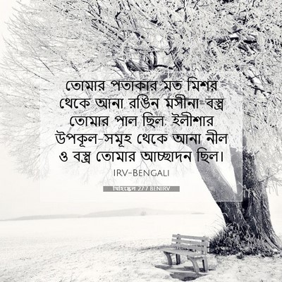 Picture 07 - যিহিষ্কেল 27:7 BENIRV - তোমার পতাকার মত - Bible Verse Picture