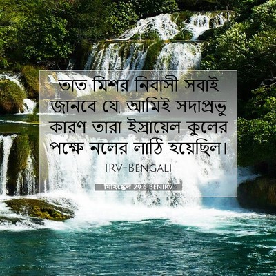 Picture 07 - যিহিষ্কেল 29:6 BENIRV - তাত মিশর নিবাসী - Bible Verse Picture