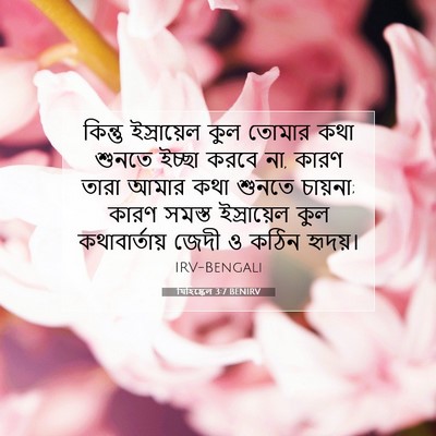 Picture 07 - যিহিষ্কেল 3:7 BENIRV - কিন্তু ইস্রায়েল - Bible Verse Picture