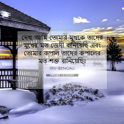 Picture 07 - যিহিষ্কেল 3:8 BENIRV - দেখ, আমি তোমার - Bible Verse Picture