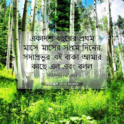 Picture 07 - যিহিষ্কেল 30:20 BENIRV - একাদশ বছরের প্রথম - Bible Verse Picture