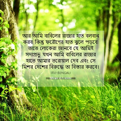 Picture 07 - যিহিষ্কেল 30:25 BENIRV - আর আমি বাবিলের - Bible Verse Picture