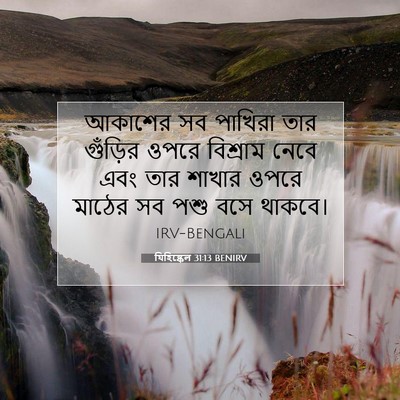 Picture 07 - যিহিষ্কেল 31:13 BENIRV - আকাশের সব পাখিরা - Bible Verse Picture