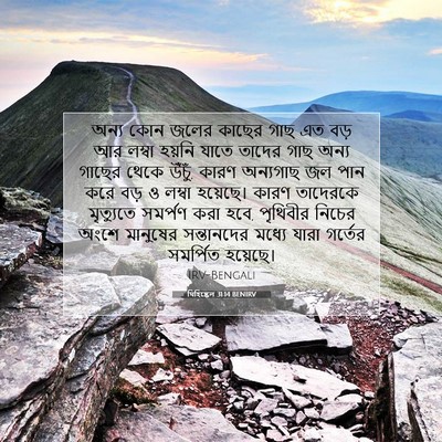 Picture 07 - যিহিষ্কেল 31:14 BENIRV - অন্য কোন জলের - Bible Verse Picture