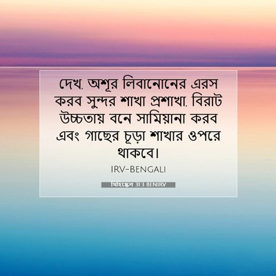 Picture 07 - যিহিষ্কেল 31:3 BENIRV - দেখ, অশূর - Bible Verse Picture