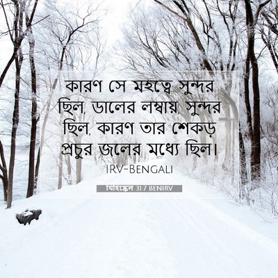 Picture 07 - যিহিষ্কেল 31:7 BENIRV - কারণ সে মহত্বে - Bible Verse Picture