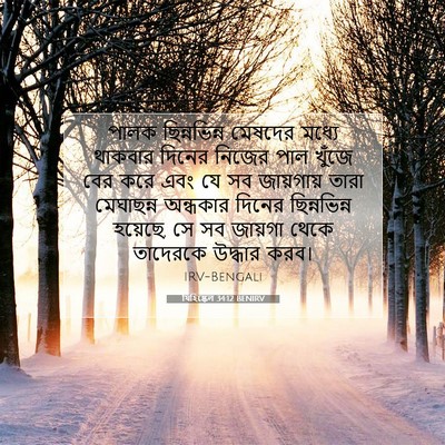 Picture 07 - যিহিষ্কেল 34:12 BENIRV - পালক ছিন্নভিন্ন - Bible Verse Picture