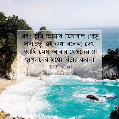 Picture 07 - যিহিষ্কেল 34:17 BENIRV - এবং তুমি, আমার - Bible Verse Picture