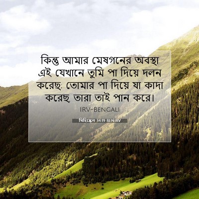 Picture 07 - যিহিষ্কেল 34:19 BENIRV - কিন্তু আমার - Bible Verse Picture