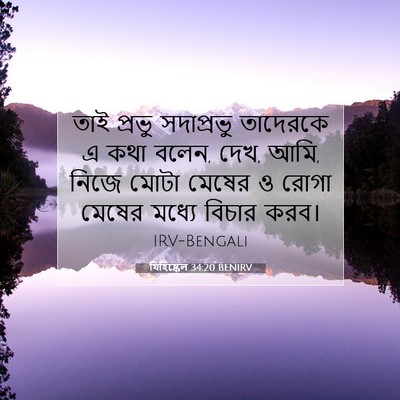 Picture 07 - যিহিষ্কেল 34:20 BENIRV - তাই প্রভু - Bible Verse Picture