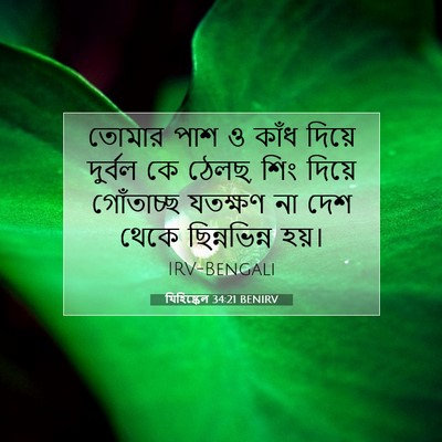 Picture 07 - যিহিষ্কেল 34:21 BENIRV - তোমার পাশ ও কাঁধ - Bible Verse Picture