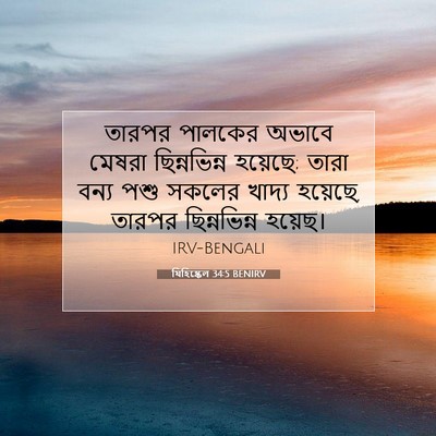 Picture 07 - যিহিষ্কেল 34:5 BENIRV - তারপর পালকের - Bible Verse Picture