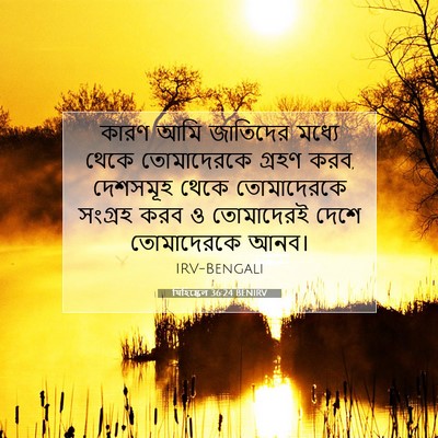 Picture 07 - যিহিষ্কেল 36:24 BENIRV - কারণ আমি জাতিদের - Bible Verse Picture