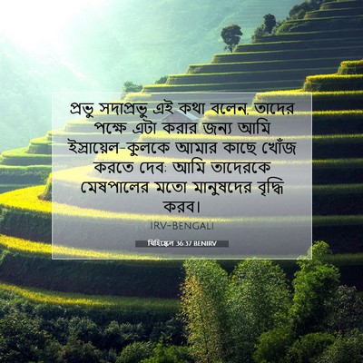 Picture 07 - যিহিষ্কেল 36:37 BENIRV - প্রভু সদাপ্রভু এই - Bible Verse Picture