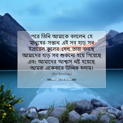 Picture 07 - যিহিষ্কেল 37:11 BENIRV - পরে তিনি আমাকে - Bible Verse Picture