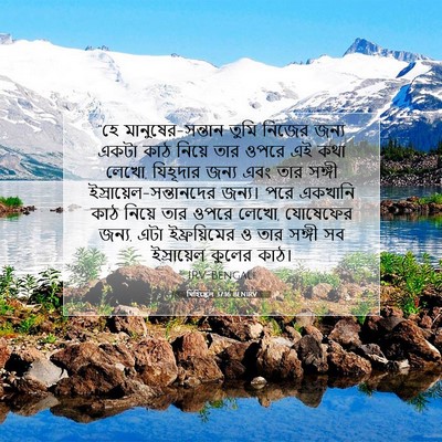 Picture 07 - যিহিষ্কেল 37:16 BENIRV - “হে - Bible Verse Picture