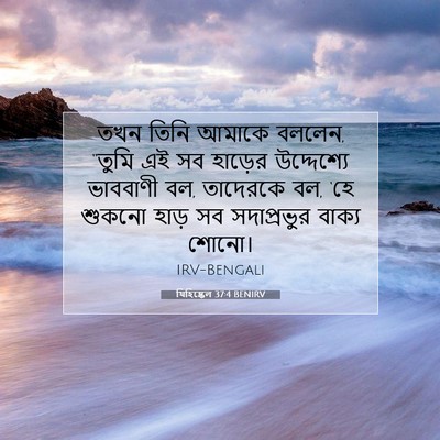Picture 07 - যিহিষ্কেল 37:4 BENIRV - তখন তিনি আমাকে - Bible Verse Picture