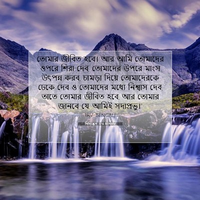 Picture 07 - যিহিষ্কেল 37:6 BENIRV - তোমার জীবিত হবে। - Bible Verse Picture