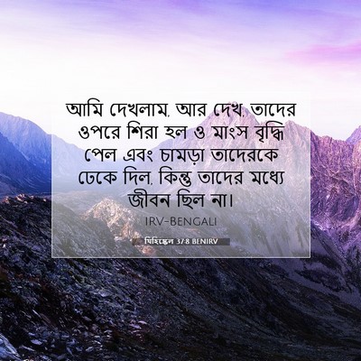 Picture 07 - যিহিষ্কেল 37:8 BENIRV - আমি দেখলাম, আর দেখ, - Bible Verse Picture