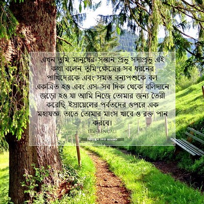 Picture 07 - যিহিষ্কেল 39:17 BENIRV - এখন তুমি, - Bible Verse Picture