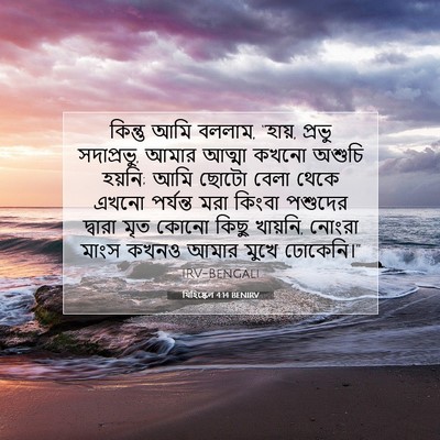 Picture 07 - যিহিষ্কেল 4:14 BENIRV - কিন্তু আমি বললাম, - Bible Verse Picture