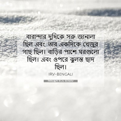 Picture 07 - যিহিষ্কেল 41:26 BENIRV - বারান্দার দুদিকে - Bible Verse Picture