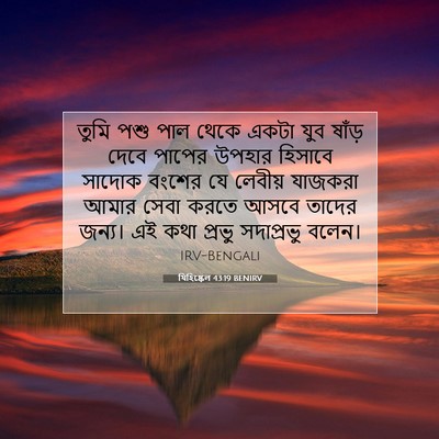 Picture 07 - যিহিষ্কেল 43:19 BENIRV - তুমি পশু পাল থেকে - Bible Verse Picture