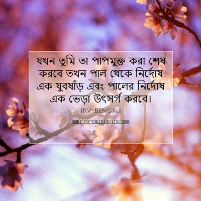 Picture 07 - যিহিষ্কেল 43:23 BENIRV - যখন তুমি তা - Bible Verse Picture