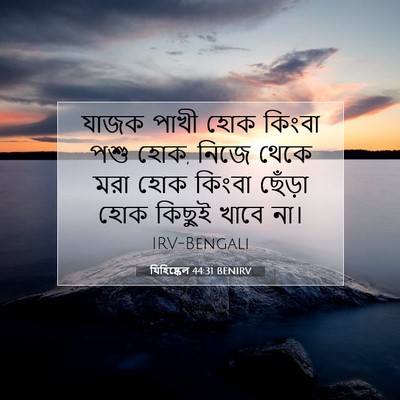 Picture 07 - যিহিষ্কেল 44:31 BENIRV - যাজক পাখী হোক - Bible Verse Picture