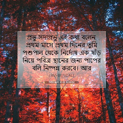 Picture 07 - যিহিষ্কেল 45:18 BENIRV - প্রভু সদাপ্রভু এই - Bible Verse Picture