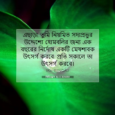 Picture 07 - যিহিষ্কেল 46:13 BENIRV - এছাড়া, তুমি - Bible Verse Picture