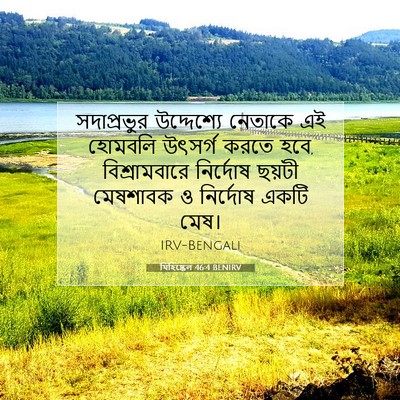 Picture 07 - যিহিষ্কেল 46:4 BENIRV - সদাপ্রভুর - Bible Verse Picture