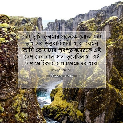 Picture 07 - যিহিষ্কেল 47:14 BENIRV - এবং তুমি, তোমার - Bible Verse Picture