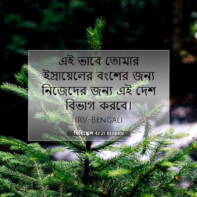 Picture 07 - যিহিষ্কেল 47:21 BENIRV - এই ভাবে তোমার - Bible Verse Picture