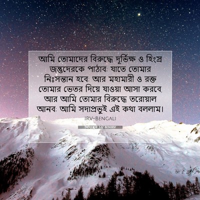 Picture 07 - যিহিষ্কেল 5:17 BENIRV - আমি তোমাদের - Bible Verse Picture
