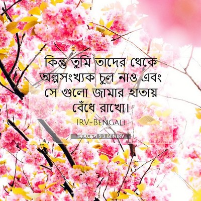 Picture 07 - যিহিষ্কেল 5:3 BENIRV - কিন্তু তুমি তাদের - Bible Verse Picture