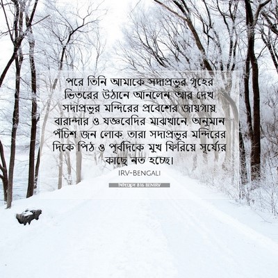 Picture 07 - যিহিষ্কেল 8:16 BENIRV - পরে তিনি আমাকে - Bible Verse Picture