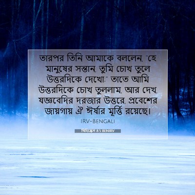 Picture 07 - যিহিষ্কেল 8:5 BENIRV - তারপর তিনি আমাকে - Bible Verse Picture
