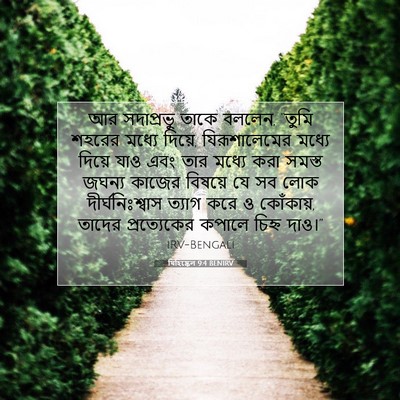 Picture 07 - যিহিষ্কেল 9:4 BENIRV - আর সদাপ্রভু তাকে - Bible Verse Picture
