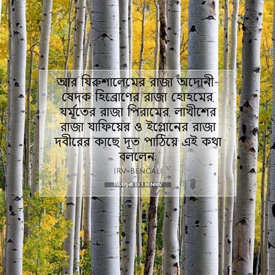 Picture 07 - যিহোচূৱা 10:3 BENIRV - আর যিরুশালেমের - Bible Verse Picture