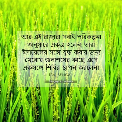 Picture 07 - যিহোচূৱা 11:5 BENIRV - আর এই রাজারা সবাই - Bible Verse Picture
