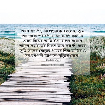Picture 07 - যিহোচূৱা 11:6 BENIRV - তখন সদাপ্রভু - Bible Verse Picture