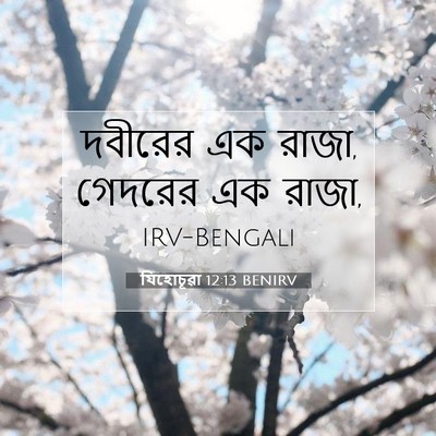 Picture 07 - যিহোচূৱা 12:13 BENIRV - দবীরের এক রাজা, - Bible Verse Picture