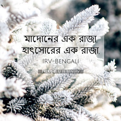 Picture 07 - যিহোচূৱা 12:19 BENIRV - মাদোনের এক রাজা, - Bible Verse Picture
