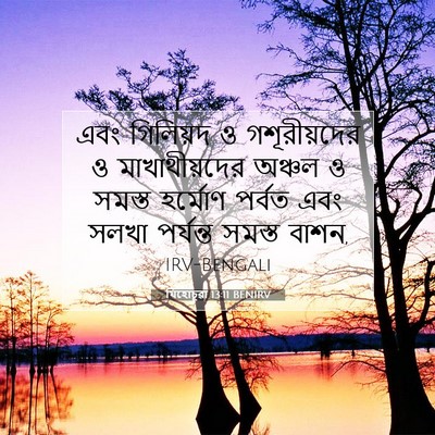 Picture 07 - যিহোচূৱা 13:11 BENIRV - এবং গিলিয়দ ও - Bible Verse Picture