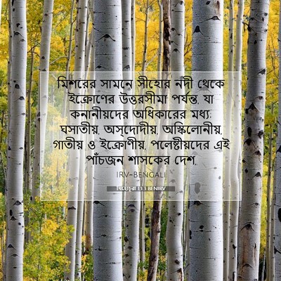 Picture 07 - যিহোচূৱা 13:3 BENIRV - মিশরের সামনে - Bible Verse Picture