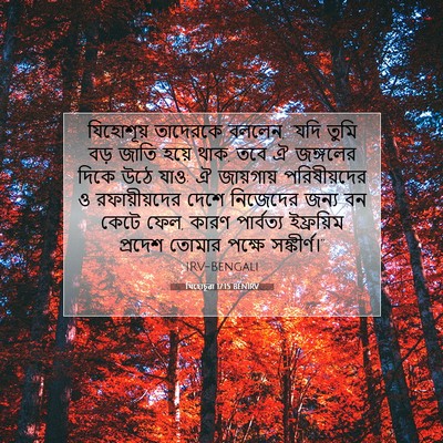 Picture 07 - যিহোচূৱা 17:15 BENIRV - যিহোশূয় তাদেরকে - Bible Verse Picture
