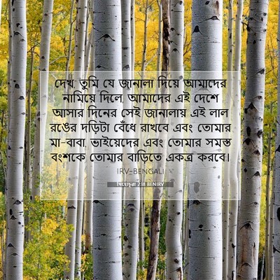Picture 07 - যিহোচূৱা 2:18 BENIRV - দেখ, তুমি যে জানালা - Bible Verse Picture