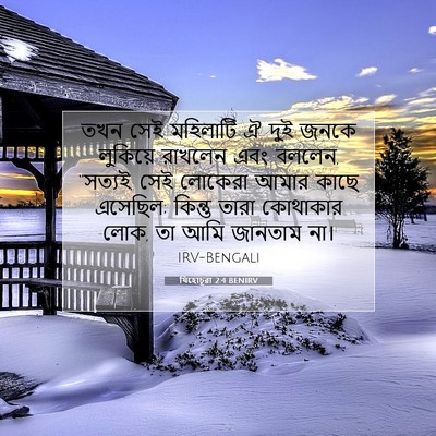 Picture 07 - যিহোচূৱা 2:4 BENIRV - তখন সেই মহিলাটি ঐ - Bible Verse Picture